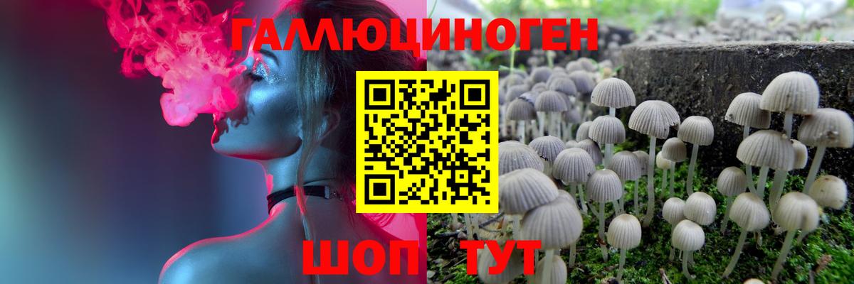 Тамбов  Псилоцибиновые грибы Cubensis  Вход с VPN  Псилоцибиновые грибы Cubensis 